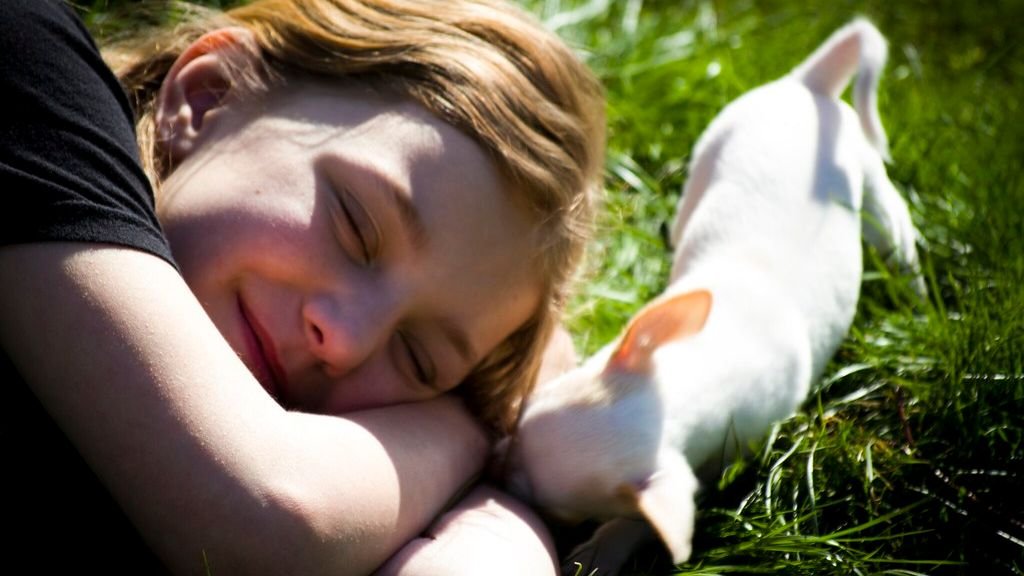 Zodiac Signs That Thrive With Low Maintenance Dogs