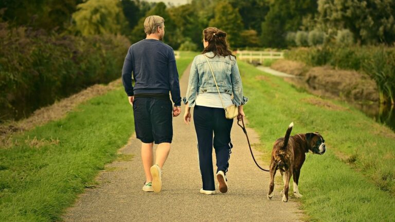 8 Simple Ways To Make Your Garden A Safe Haven For Your Adventurous Dog