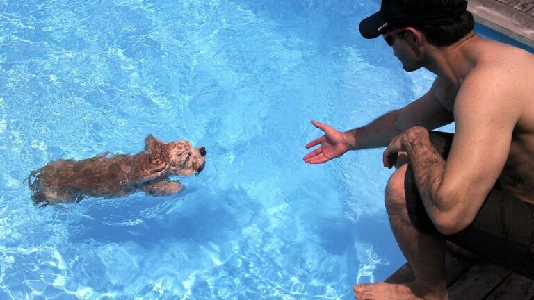 10 Things That Deepen Your Bond With Dogs - And 5 That Quietly Destroy It