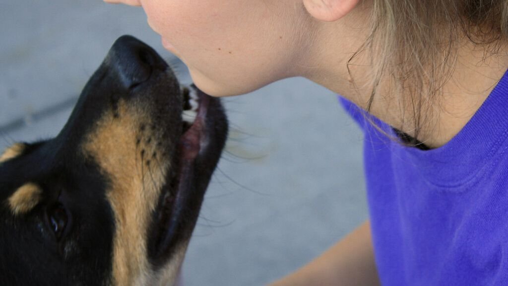 10 Dog Breeds That Have an Uncanny Ability to Sense Human Emotions