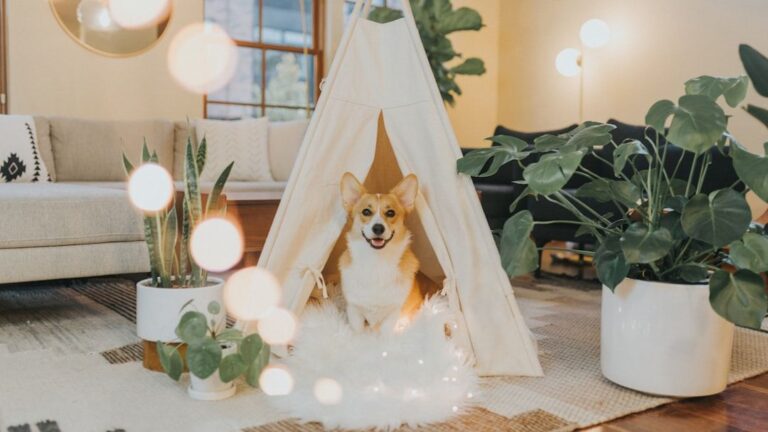 8 Common Houseplants That Are Toxic to Dogs (And 7 Safe Alternatives)