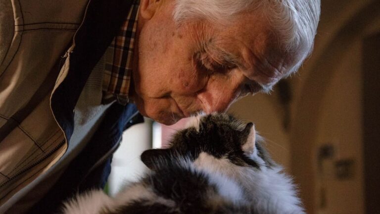 12 Surprising Reasons Why Your Cat Ignores You (and What to Do)