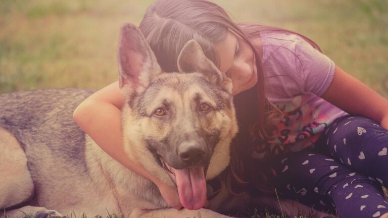 9 Dog Breeds That Are Surprisingly Good with Children, Dispelling Old Myths