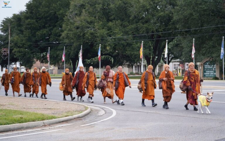 Aloka: The Street Dog Who Walked Thousands of Miles for World Peace with Buddhist Monks