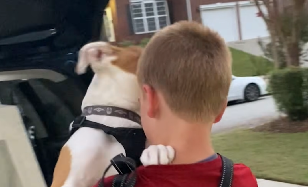 12-Year-Old Roman McConn Emerges as Shelter Dog Savior, Rescuing Thousands Nationwide