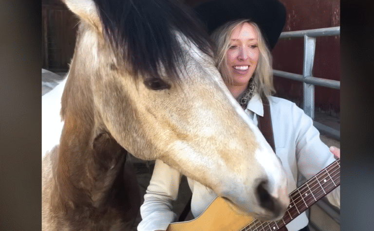 Aggressive Rescue Horse Discovers Peace Through Guitar Music and Patient Care
