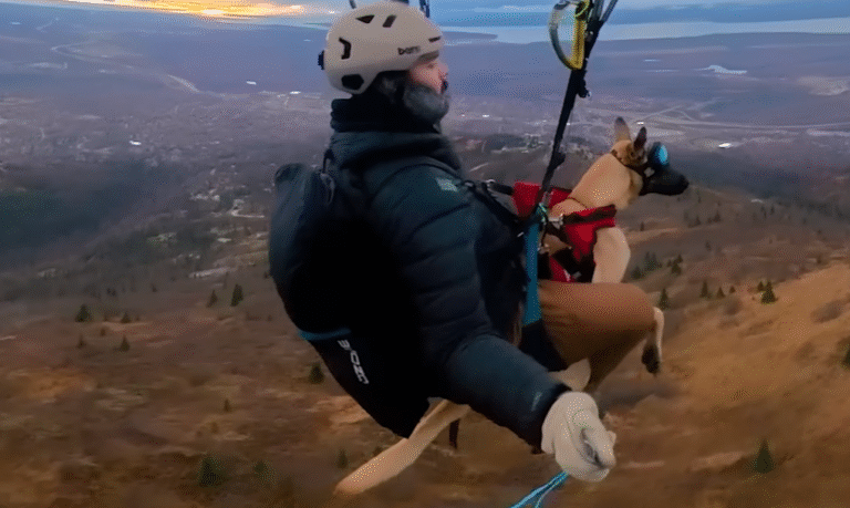 Adventurous Dog Owner Transforms Routine Walks into Paragliding Escapades with Belgian Malinois