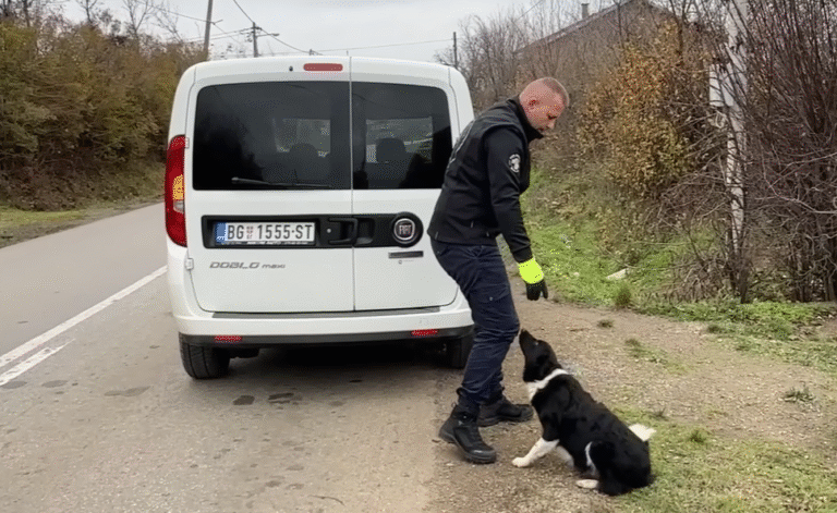 Abandoned Mama Dog’s Heroic Guidance Leads Rescuers to Hidden Puppies