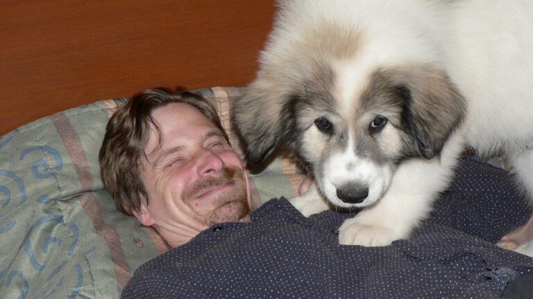 6 Large Dog Breeds That Will Love Your Family Profoundly