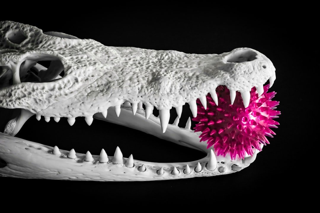 Laos communities bring rare crocodiles back from brink