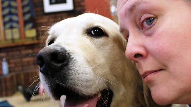 These Dog Breeds Are Perfect for Cancer Owners Seeking Unconditional Comfort (And These Demand Too Much)