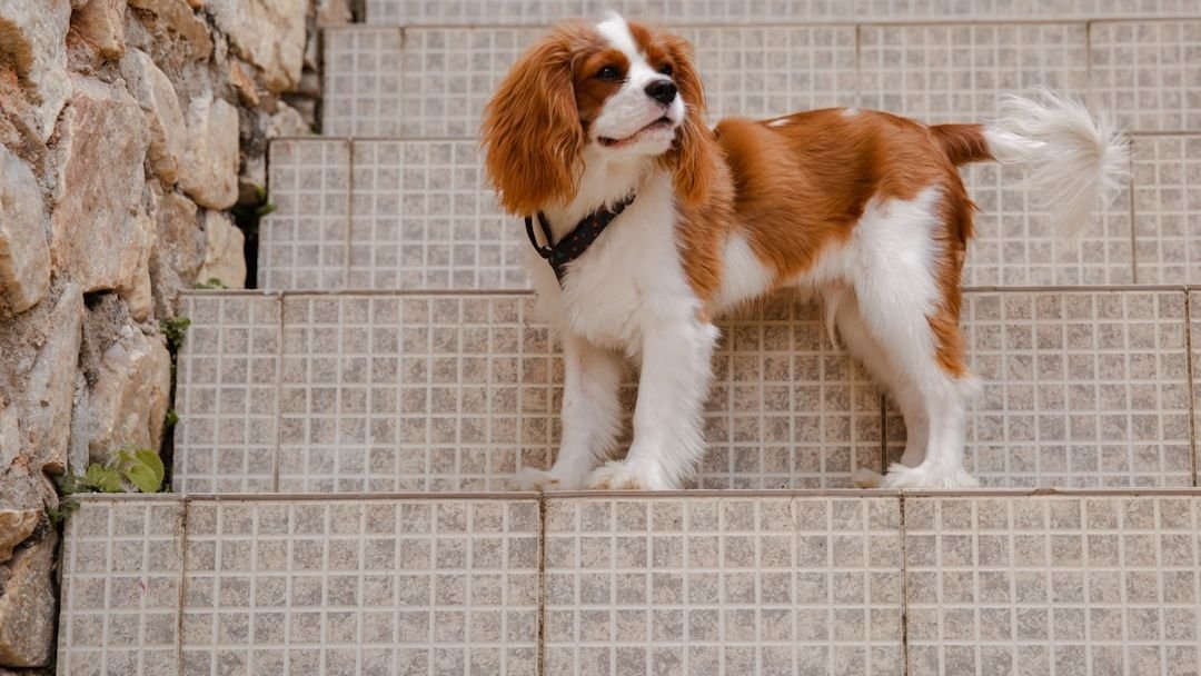 The 4 Quietest Dog Breeds Perfect for Apartment Living (And 4 That Are Not)