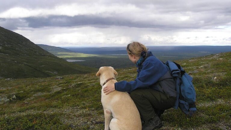 The 5 Worst and 5 Best Dog Breeds For Zodiac Sign Capricorn