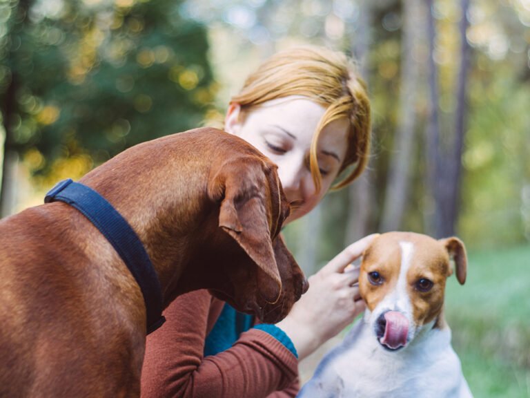 Do Dogs Get Jealous?