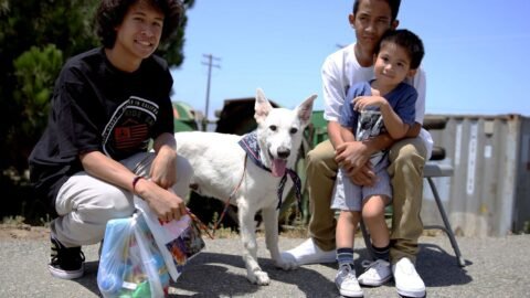 6 Common Misconceptions About Adopting a Rescue Dog Debunked