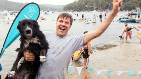 6 Common Mistakes Dog Owners Make When Introducing Their Dog to Strangers