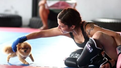 Some Dog Breeds Were Bred Specifically to Be the Ultimate Family Companion