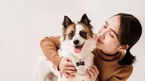 6 Things You Do That Confuse Your Dog (And How To Stop)