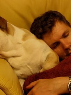 6 Dog Breeds With the Worst Behavior Problems (Plus 6 That Are Naturally Calm)