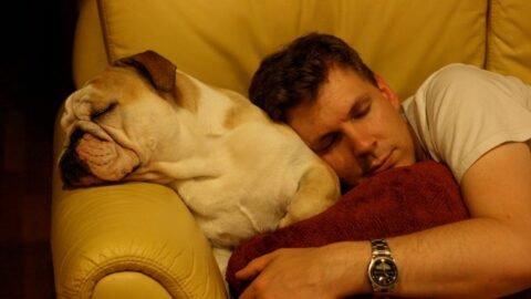 6 Dog Breeds With the Worst Behavior Problems (Plus 6 That Are Naturally Calm)