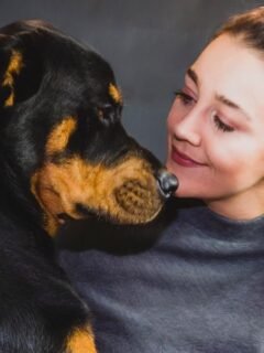 The Zodiac Signs That Would Bond Best With Rottweilers