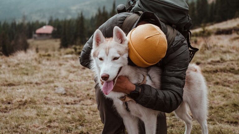 5 High-Maintenance Dog Breeds That Exhaust Owners (And 5 Low-Effort Alternatives)
