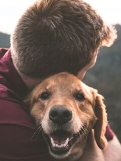 Rescue Dogs Bring Unique Joy: What To Expect During Their First Year