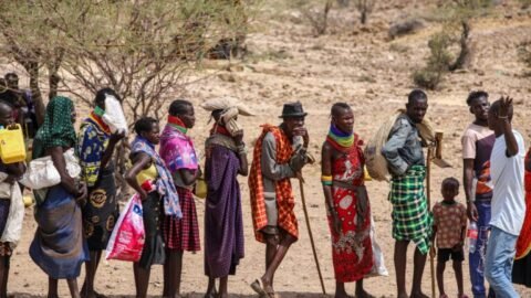 Animals dying in Kenya as drought conditions leave many hungry