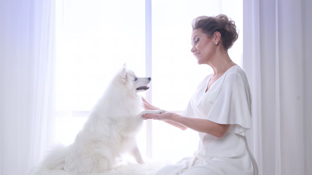 What Your Dog Hears When You Talk To Them (Science Finally Proved It)