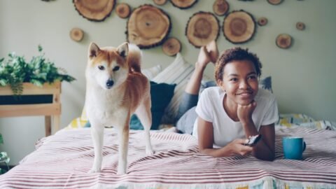 The Real Reason Your Dog Waits By The Window (It's Not Just About You Coming Home)