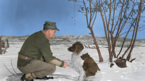 6 Mistakes People Make When Training a Dog That Hinder Progress