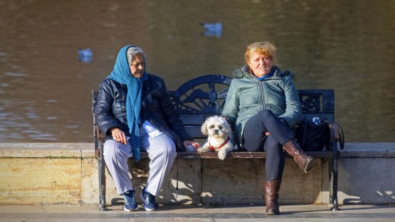 How to Spot True Happiness: The Heartbreaking Reason Senior Dogs Watch You More Than They Used To