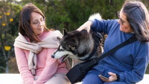 The Best Way to Bond With Your Dog Isn't Always What You'd Expect