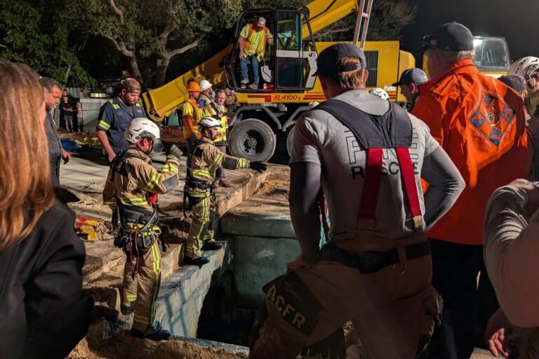A 410-pound manatee rescued from a Florida storm drain is recovering at SeaWorld Orlando