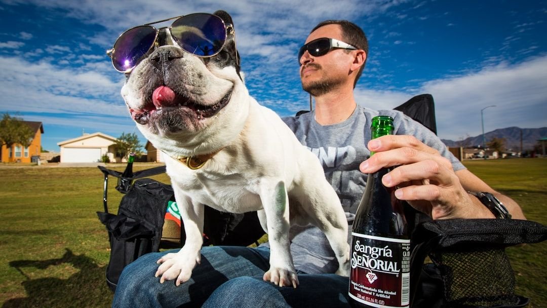 Why Your Dog Always Takes the Spot You Just Left Behind