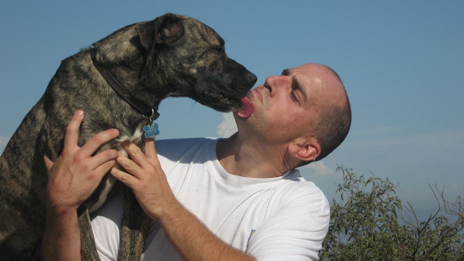 Why Your Dog's Greeting Ritual Means More Than You Think