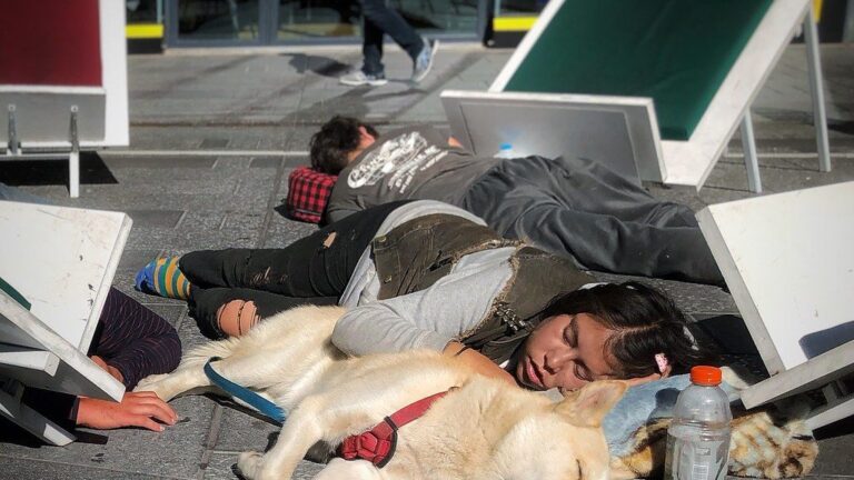 The Guardian Spot: Why Your Dog Chooses to Sleep Between You and the Door