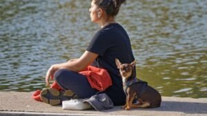 6 Moments Your Dog Memorizes About You That You'll Never Know