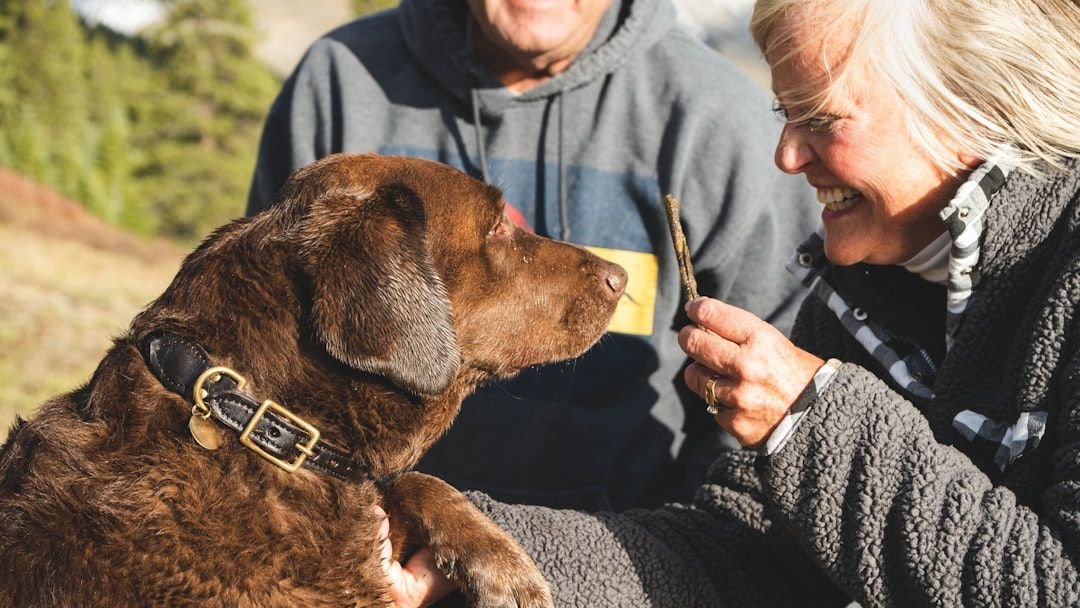 15 Things Only Dog Owners Over 50 Truly Understand