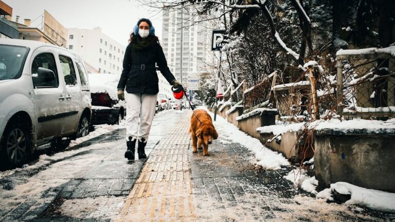10 Surprising Benefits of Adopting a Shelter Dog Today