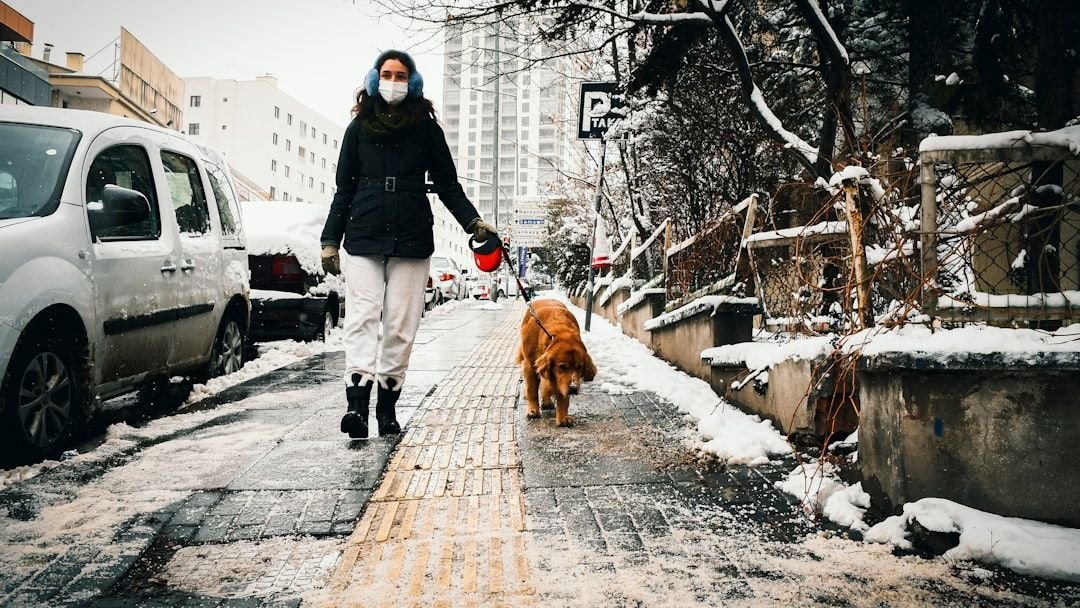 10 Surprising Benefits of Adopting a Shelter Dog Today