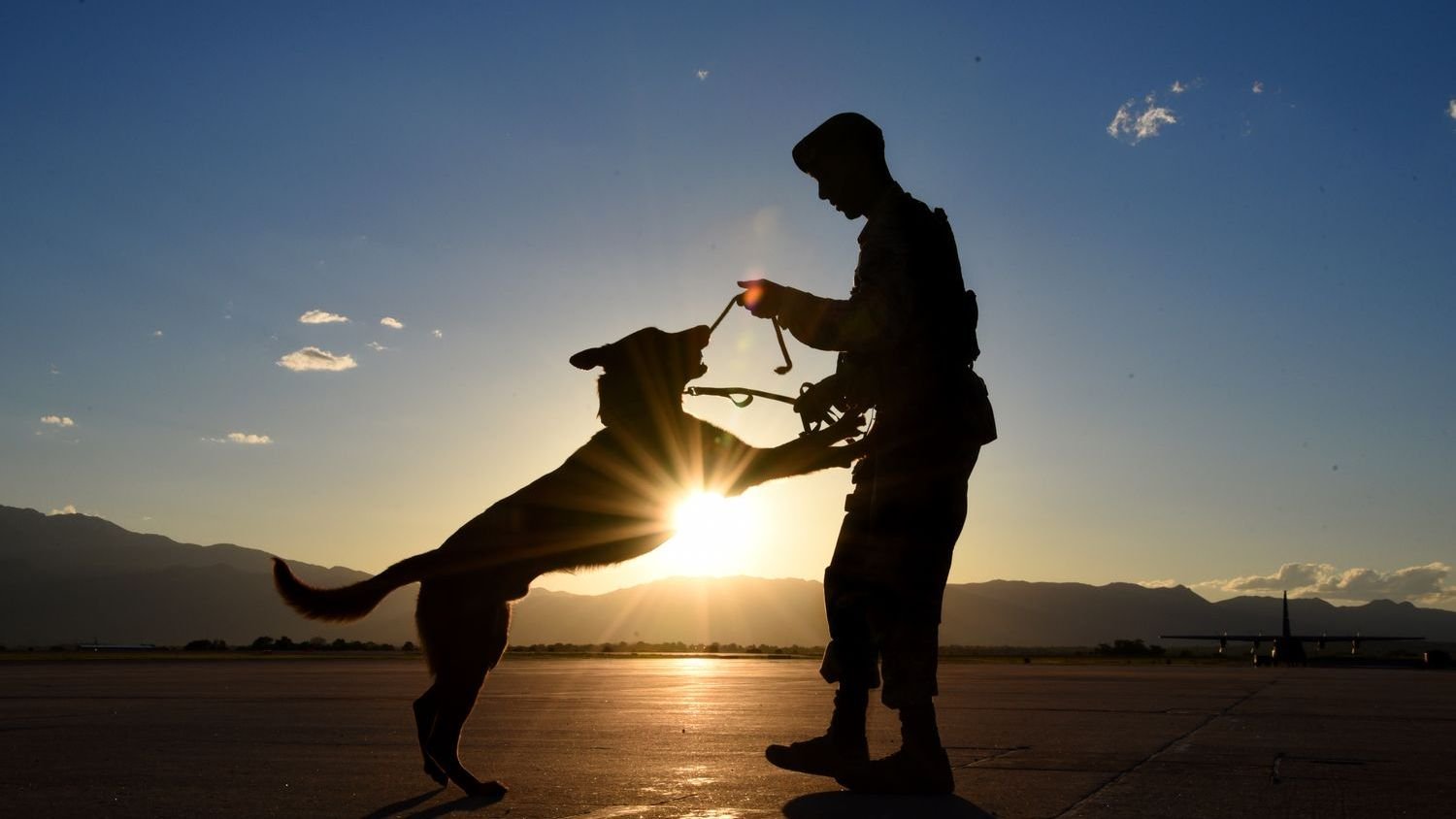 10 Ways Dogs Teach You Patience in Retirement