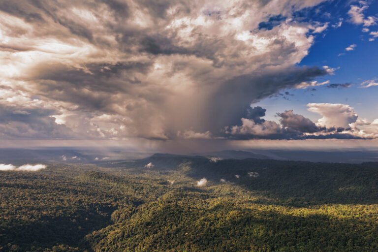 The Amazon’s most valuable export isn’t timber — it’s rain