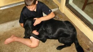 10 Common Human Habits That Accidentally Encourage Bad Dog Behavior