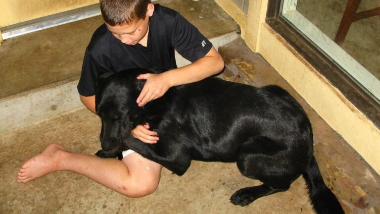 10 Common Human Habits That Accidentally Encourage Bad Dog Behavior