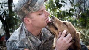 Why Your Dog Licks Your Face When You Wake Up (It's Not Just Kisses, But Something Deeper)