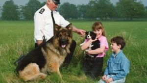 7 Critical Mistakes Owners Make When Introducing Dogs to Children