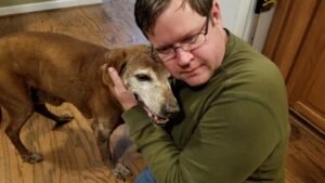 How Can I Tell if My Dog's Fear of Thunderstorms is Getting Worse?