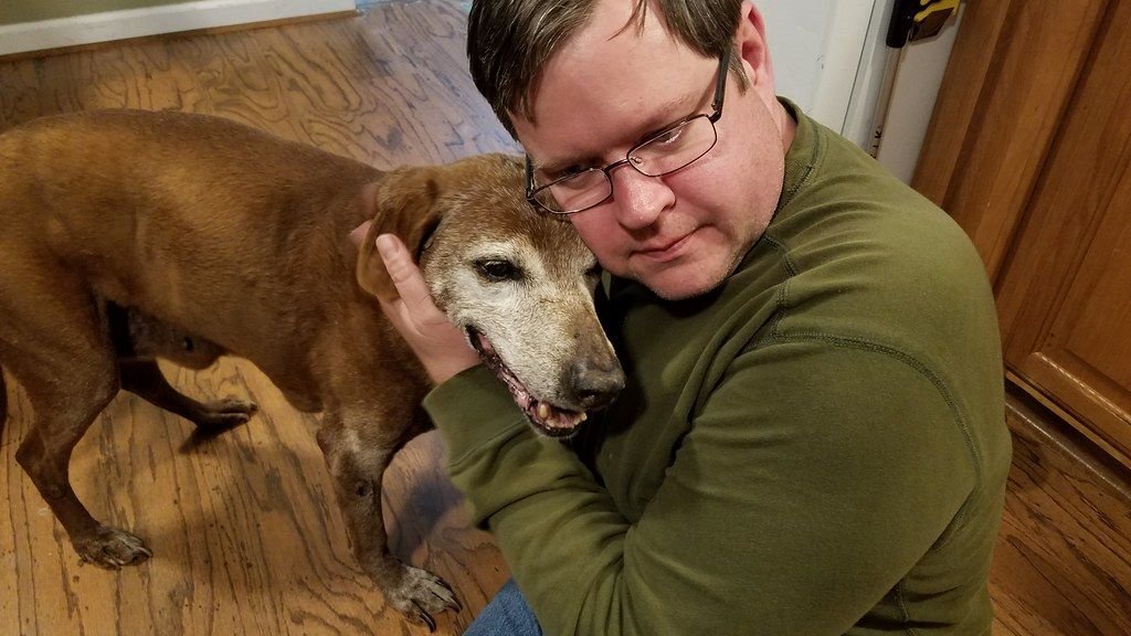 How Can I Tell if My Dog's Fear of Thunderstorms is Getting Worse?