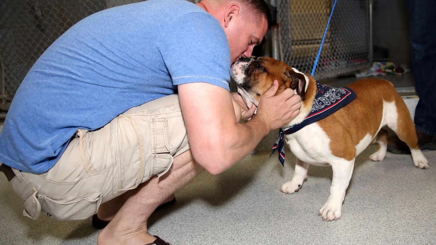 9 Common Misconceptions About Rescue Dogs That Aren't True